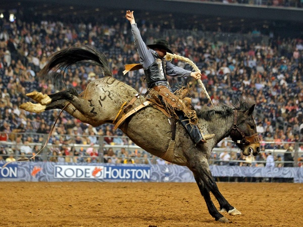 The Best of Houston | Houston Livestock Show and Rodeo | Move to Houston 